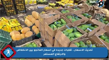 تحديث الأسعار.. تقلبات جديدة في أسعار المانجو بين الانخفاض والارتفاع المستمر